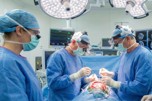 Surgeons operating on brain